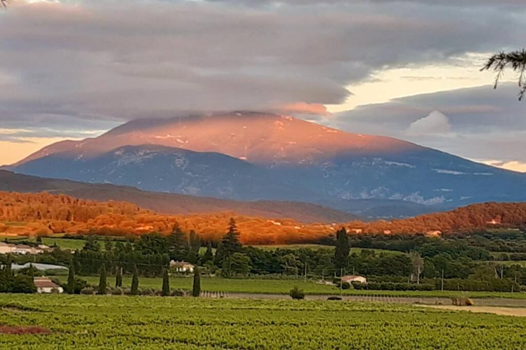 Le Clos Des Pins, Vue Mont Ventoux Roaix Zewnętrze zdjęcie